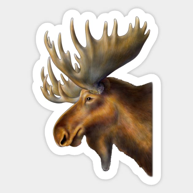 Moose Sticker by Tim Jeffs Art